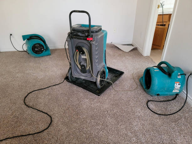 Best Water damage restoration company  in Eggertsville, NY