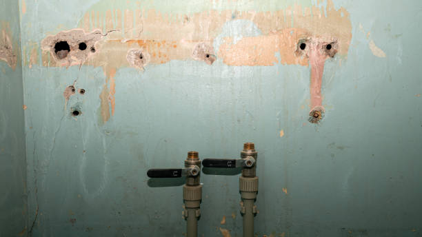 Best Emergency water damage restoration  in Eggertsville, NY