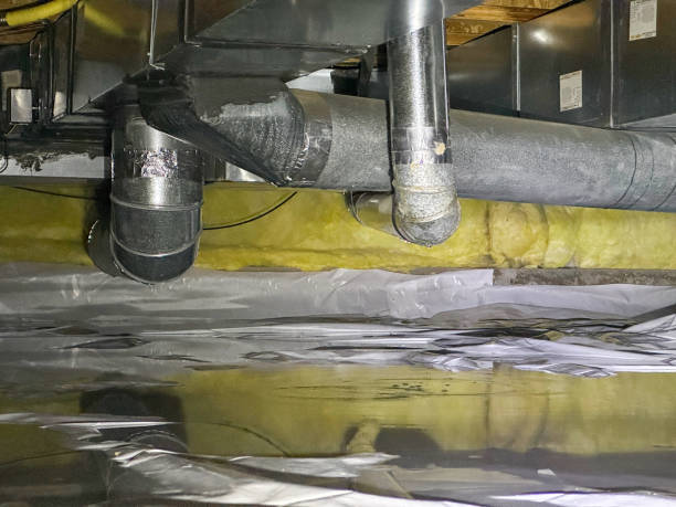 Best Professional water damage repair  in Eggertsville, NY
