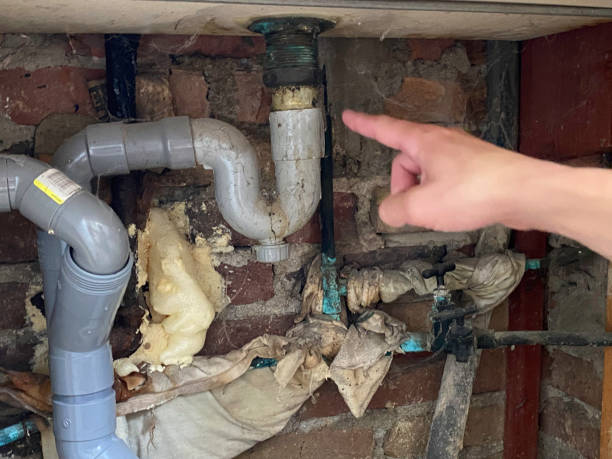 Best Flood damage cleanup  in Eggertsville, NY