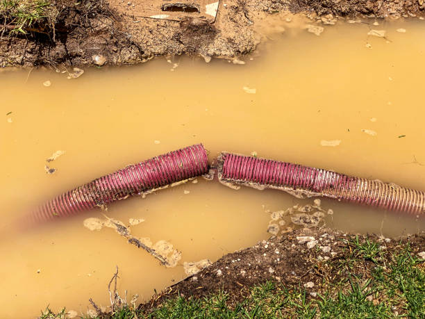 Best Water damage restoration specialists  in Eggertsville, NY