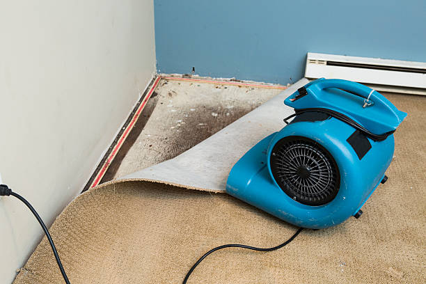 Trusted Eggertsville, NY Water damage restoration Experts